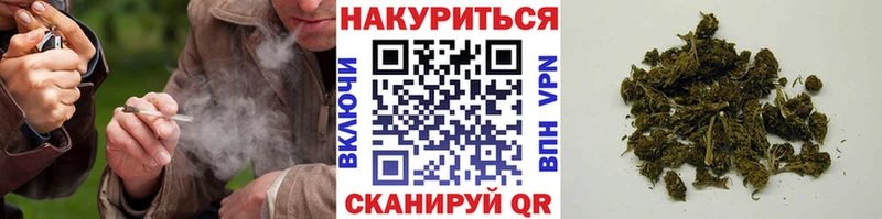 Марихуана гибрид  Узловая 